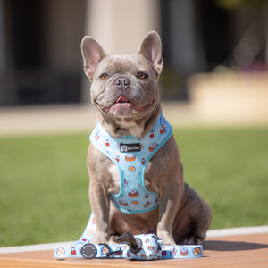 Adjustable Dog Harness - Adorabao