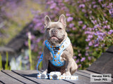 Adjustable Dog Harness - Honeybee (SECONDS - FINAL SALE)