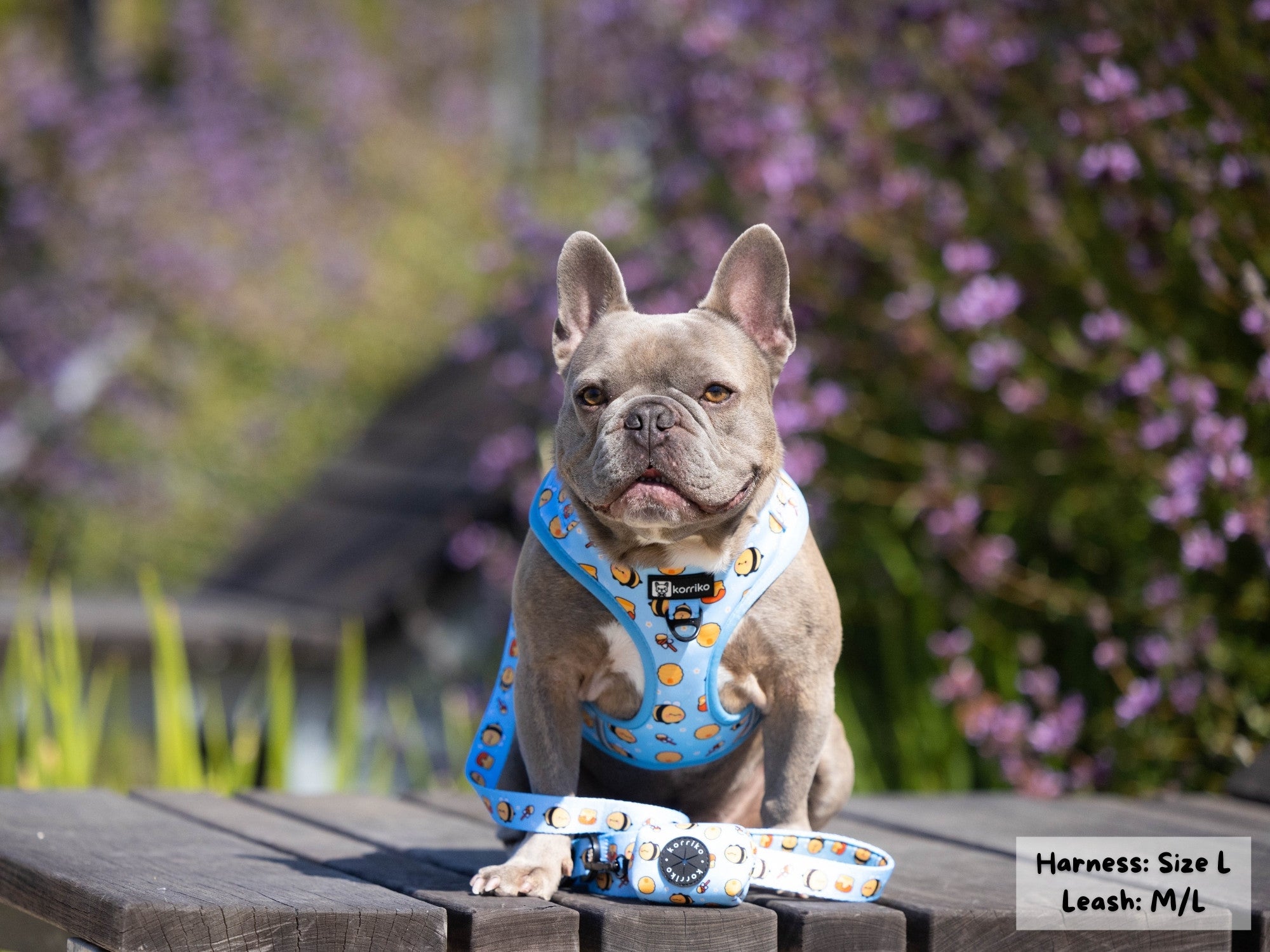 Adjustable Dog Harness - Honeybee (SECONDS - FINAL SALE)