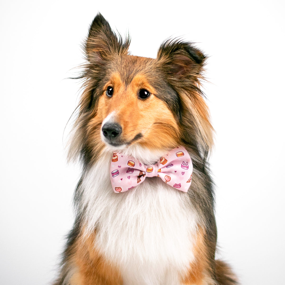 Dog Bow Tie - Patisserie (Final Sale)