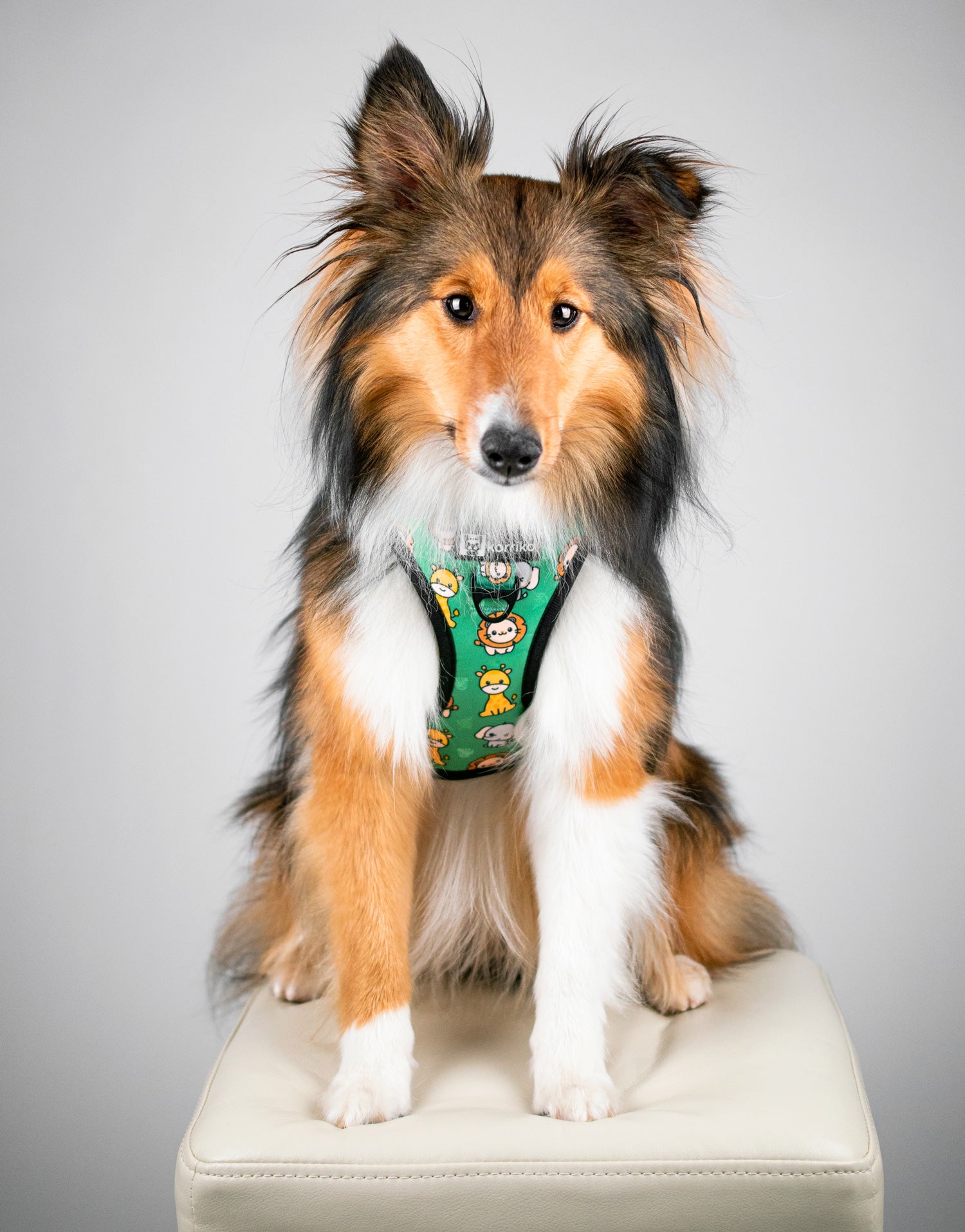 Adjustable Dog Harness - Safari (Final Sale)