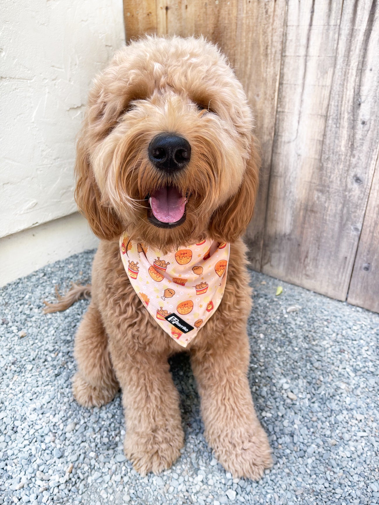 Cooling Dog Bandana - Chicken & Waffles (Final Sale)