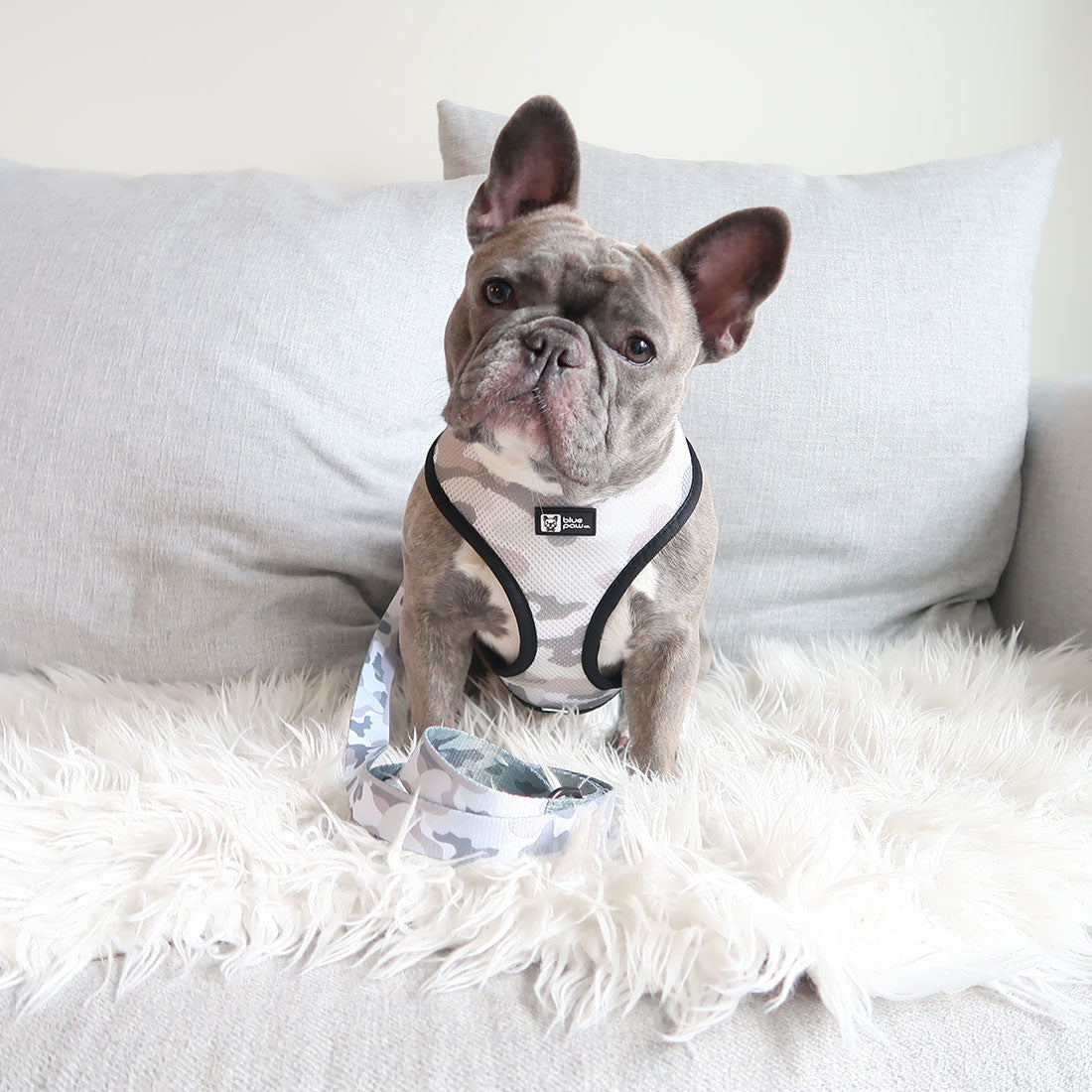Reversible Dog Harness - Combat Camo - Blue Paw Co.