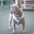 Reversible Dog Harness - Combat Camo - Blue Paw Co.