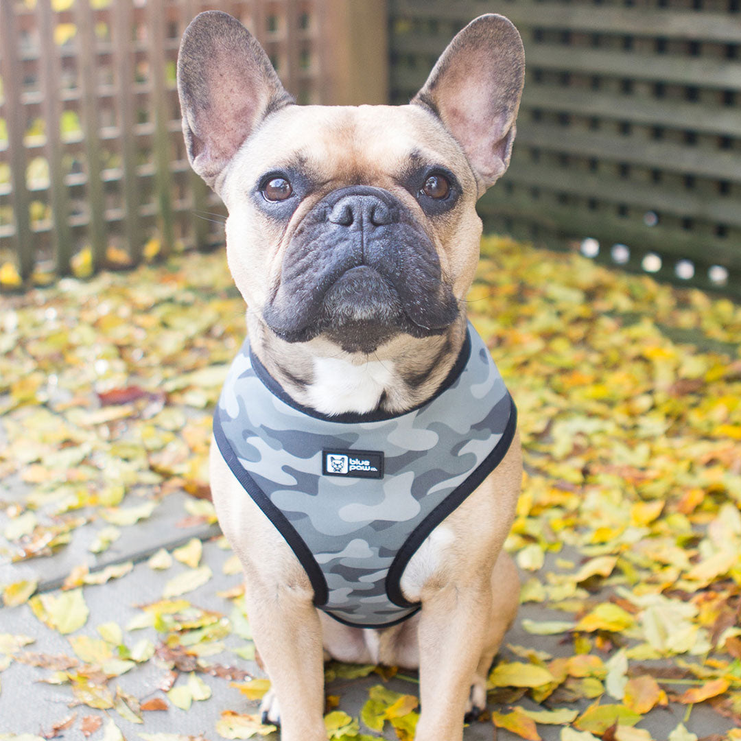 Reversible Dog Harness - Combat Camo - Blue Paw Co.