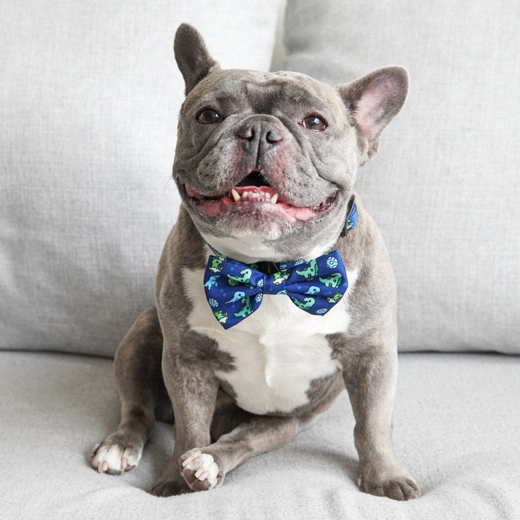 Dog Bow Tie - Dino