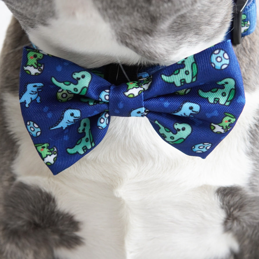 Dog Bow Tie - Dino (Blue Paw Co. - FINAL SALE)