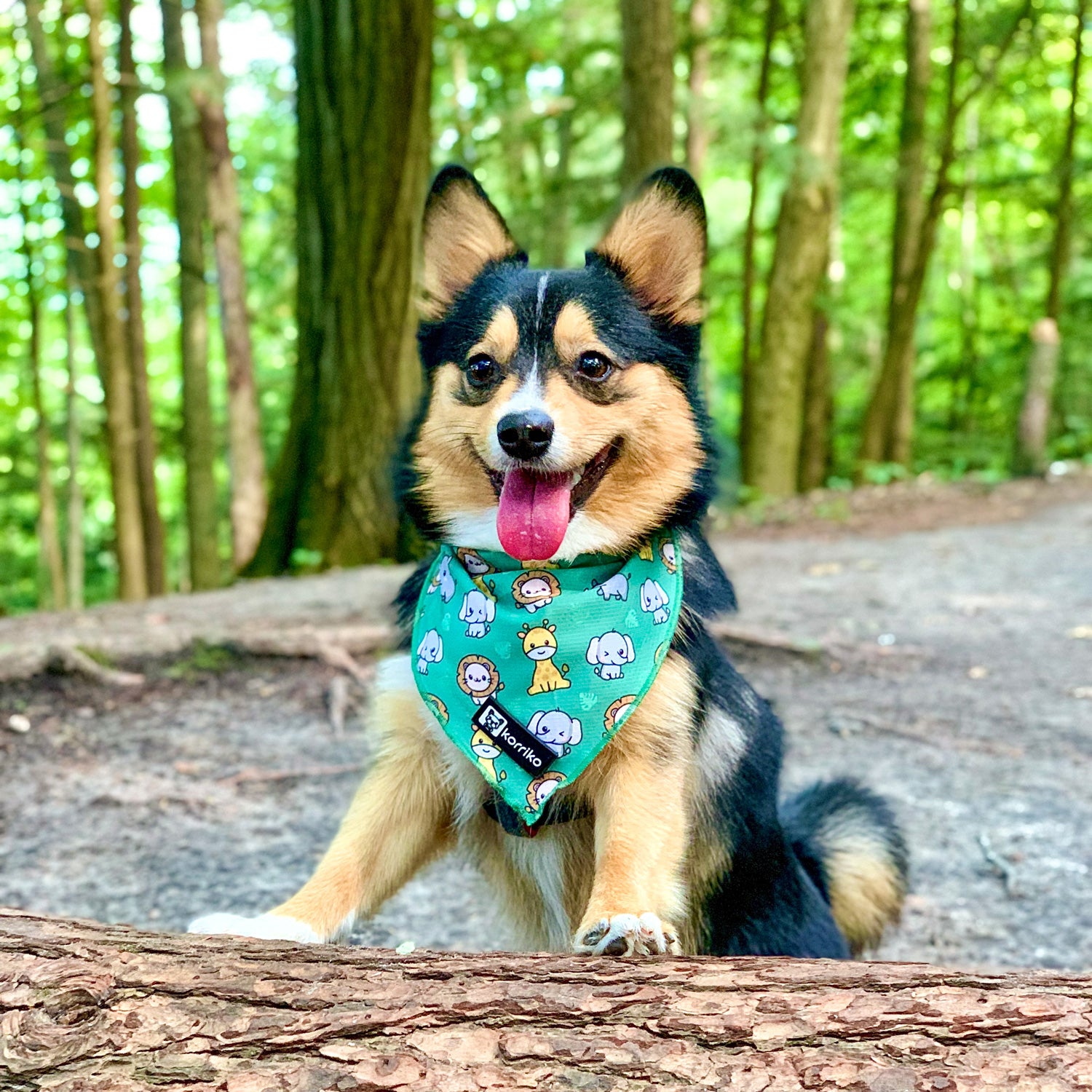 Cooling Dog Bandana - Safari