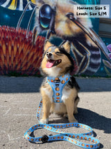 Adjustable Dog Harness - Honeybee (SECONDS - FINAL SALE)
