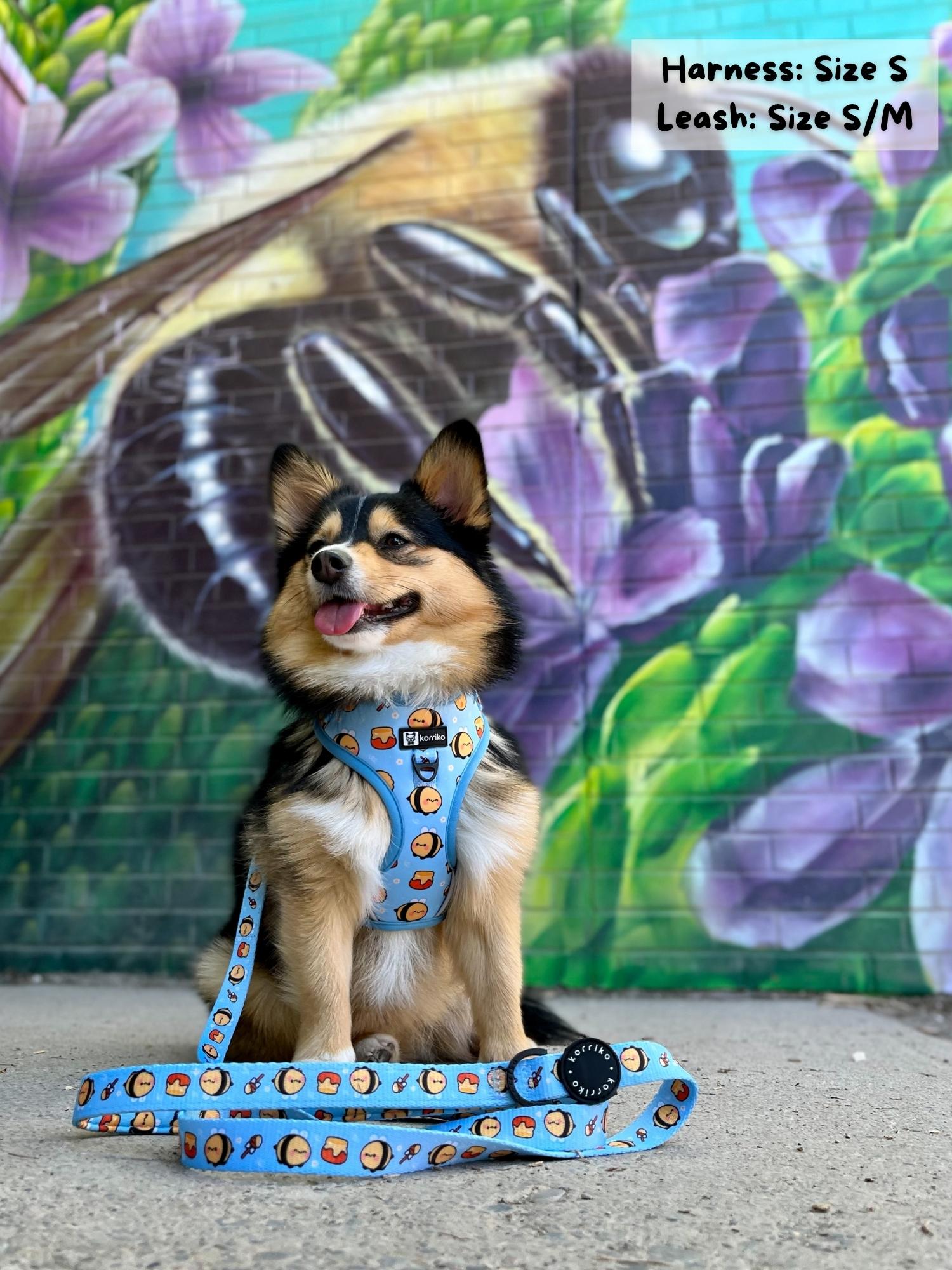 Dog Leash - HoneyBee (Final Sale)