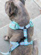 Ultimate Adjustable Harness Bundle Set - Dream Team (6-Piece) (Final Sale)