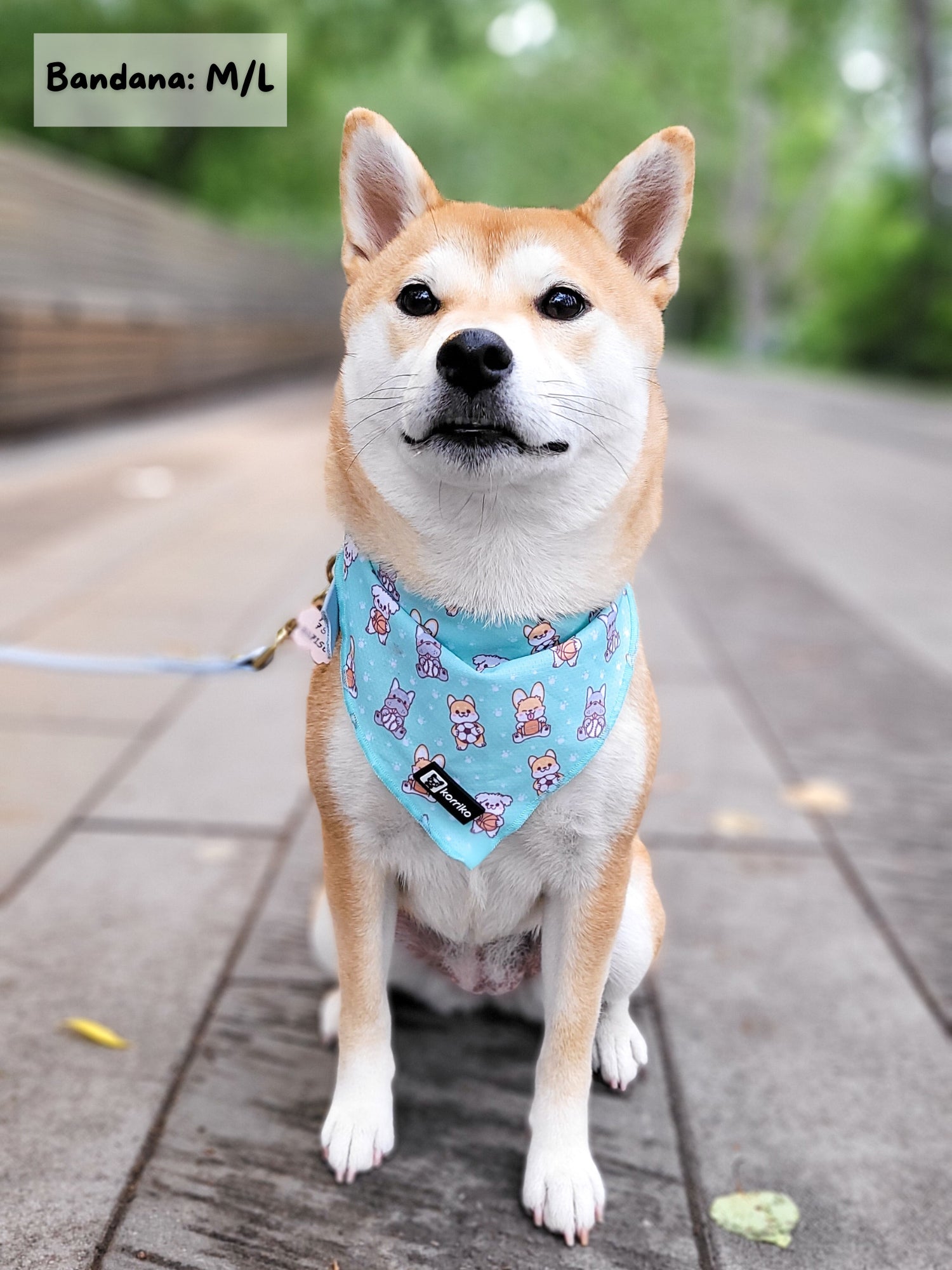 Cooling Dog Bandana - Dream Team (Final Sale)