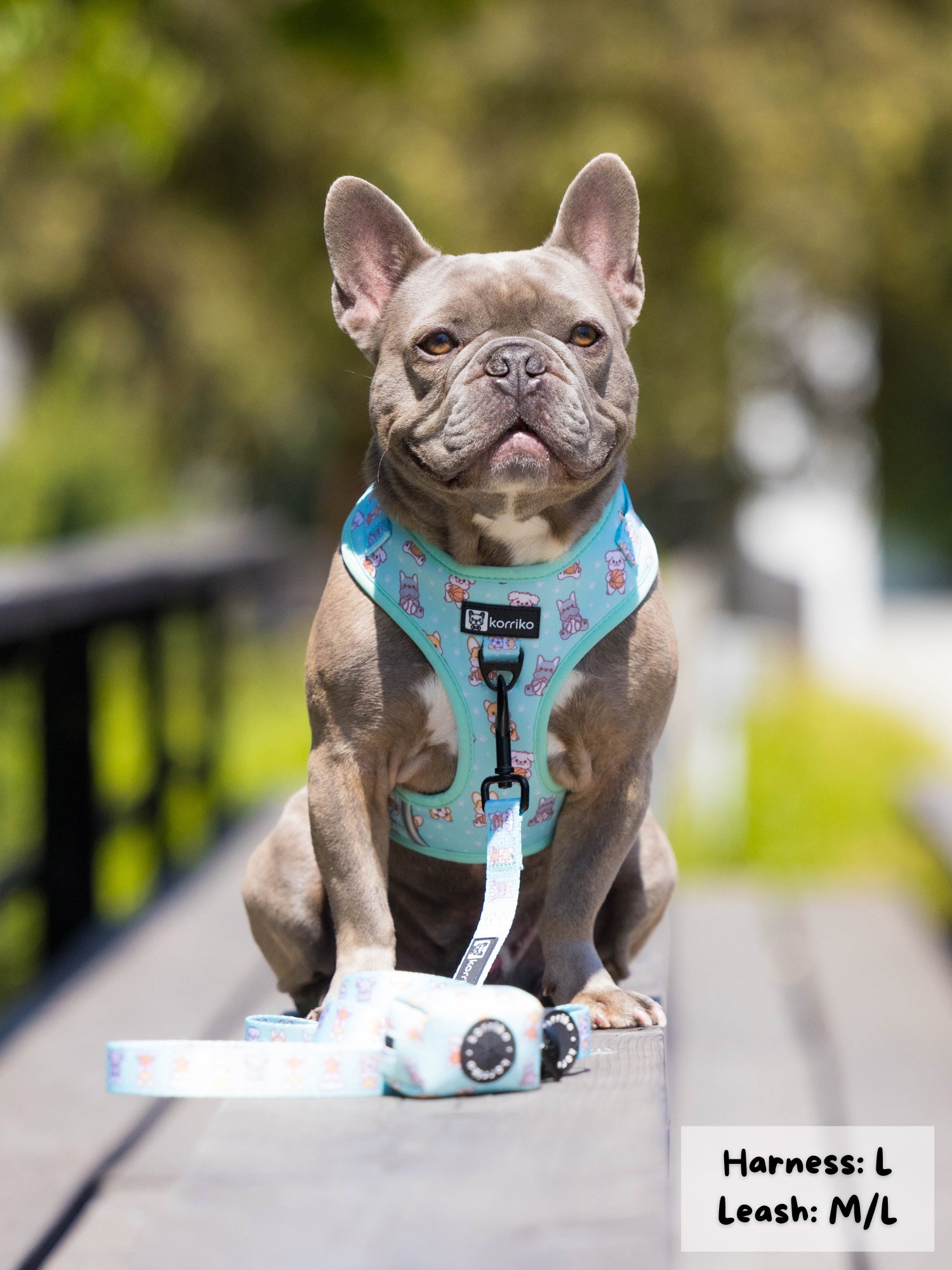 Adjustable Dog Harness - Dream Team (Final Sale)