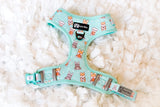 Adjustable Dog Harness - Dream Team (Final Sale)