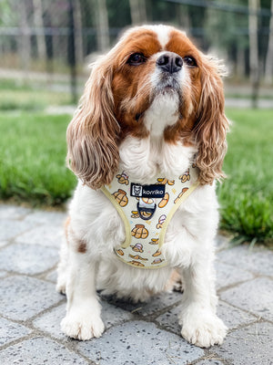 Adjustable Dog Harness - Go Bananas