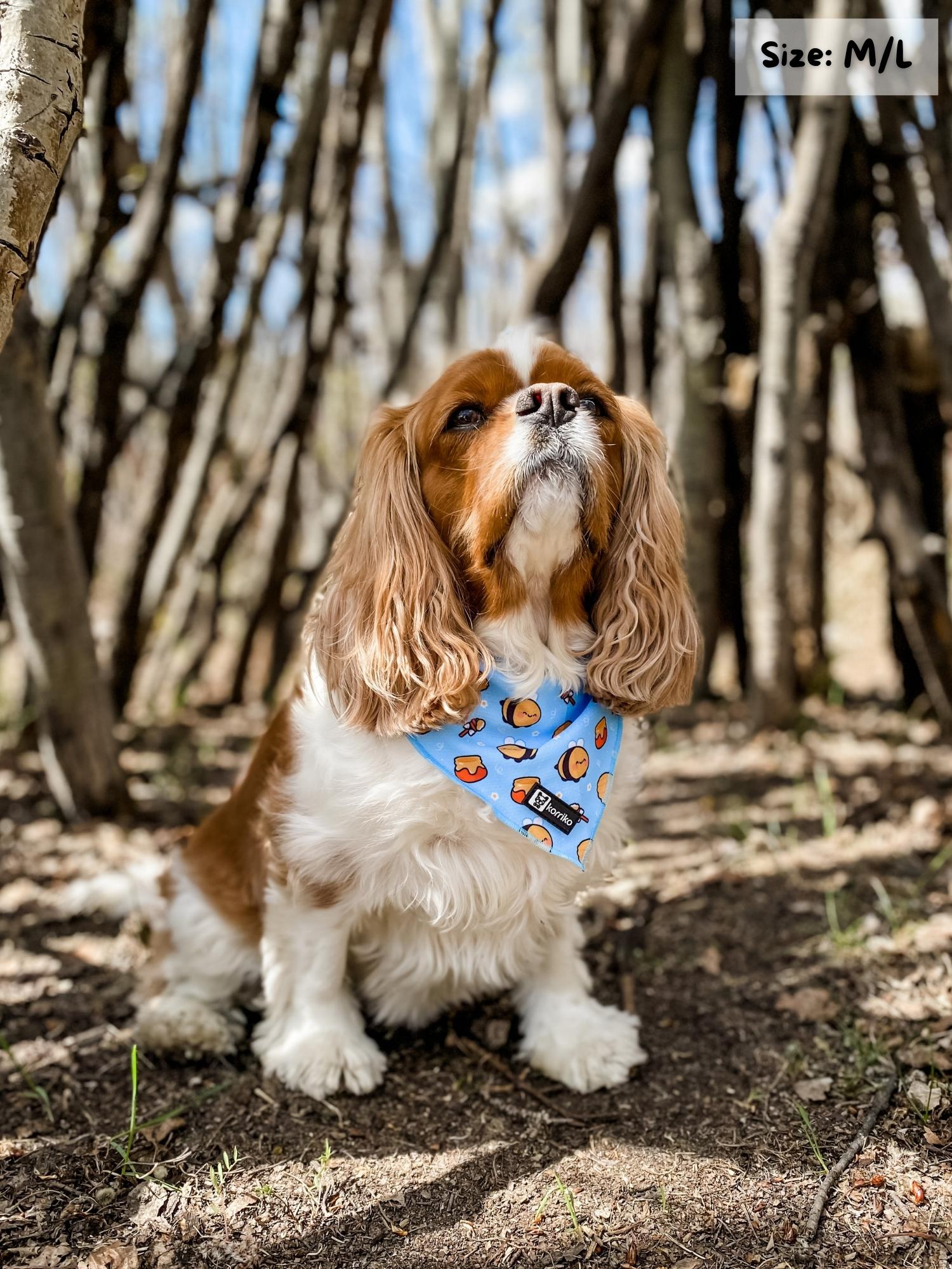 Cooling Dog Bandana - HoneyBee