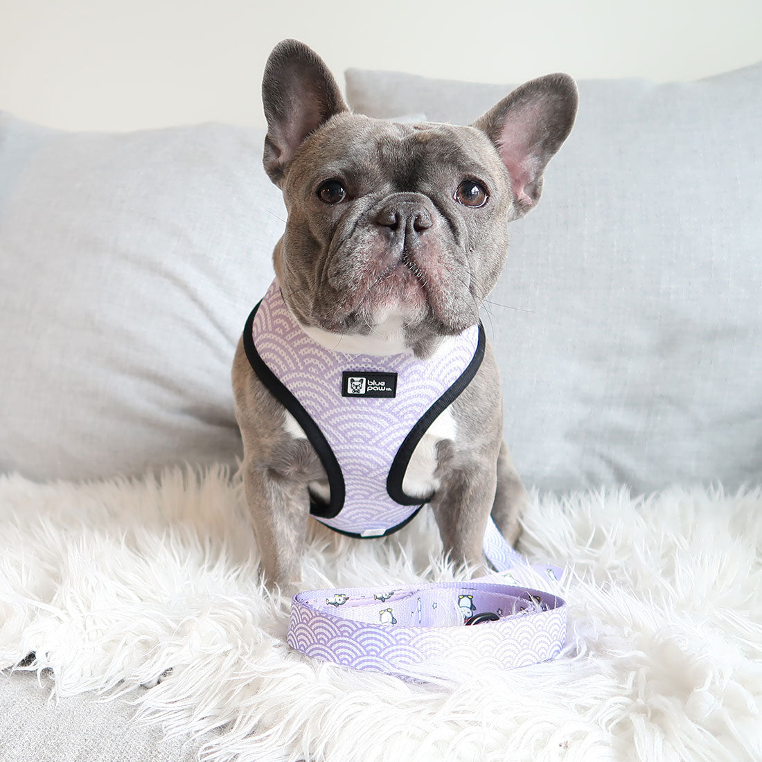 Reversible Dog Harness - Frosty Feet - Blue Paw Co.