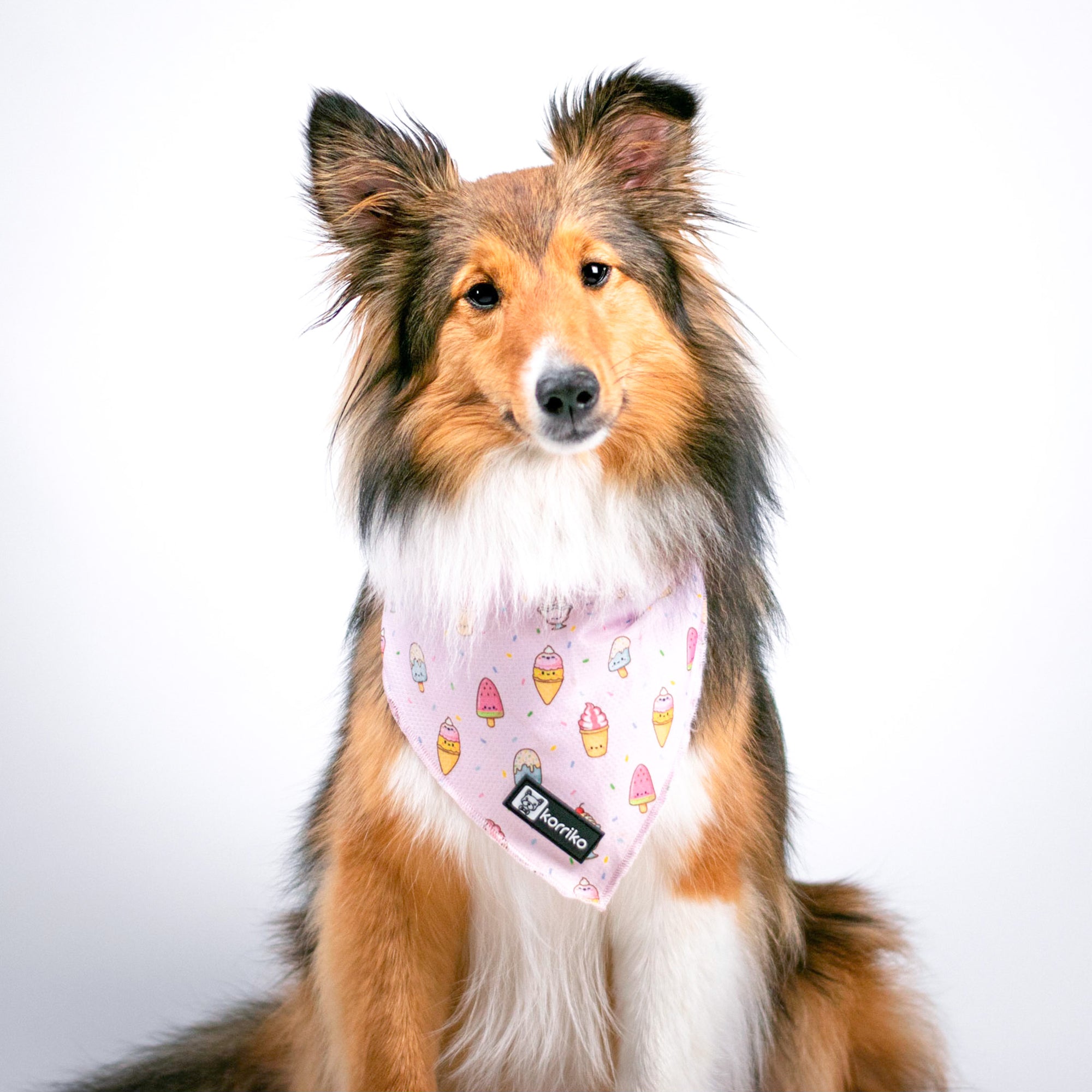 Cooling Dog Bandana - Ice Cream (Final Sale)