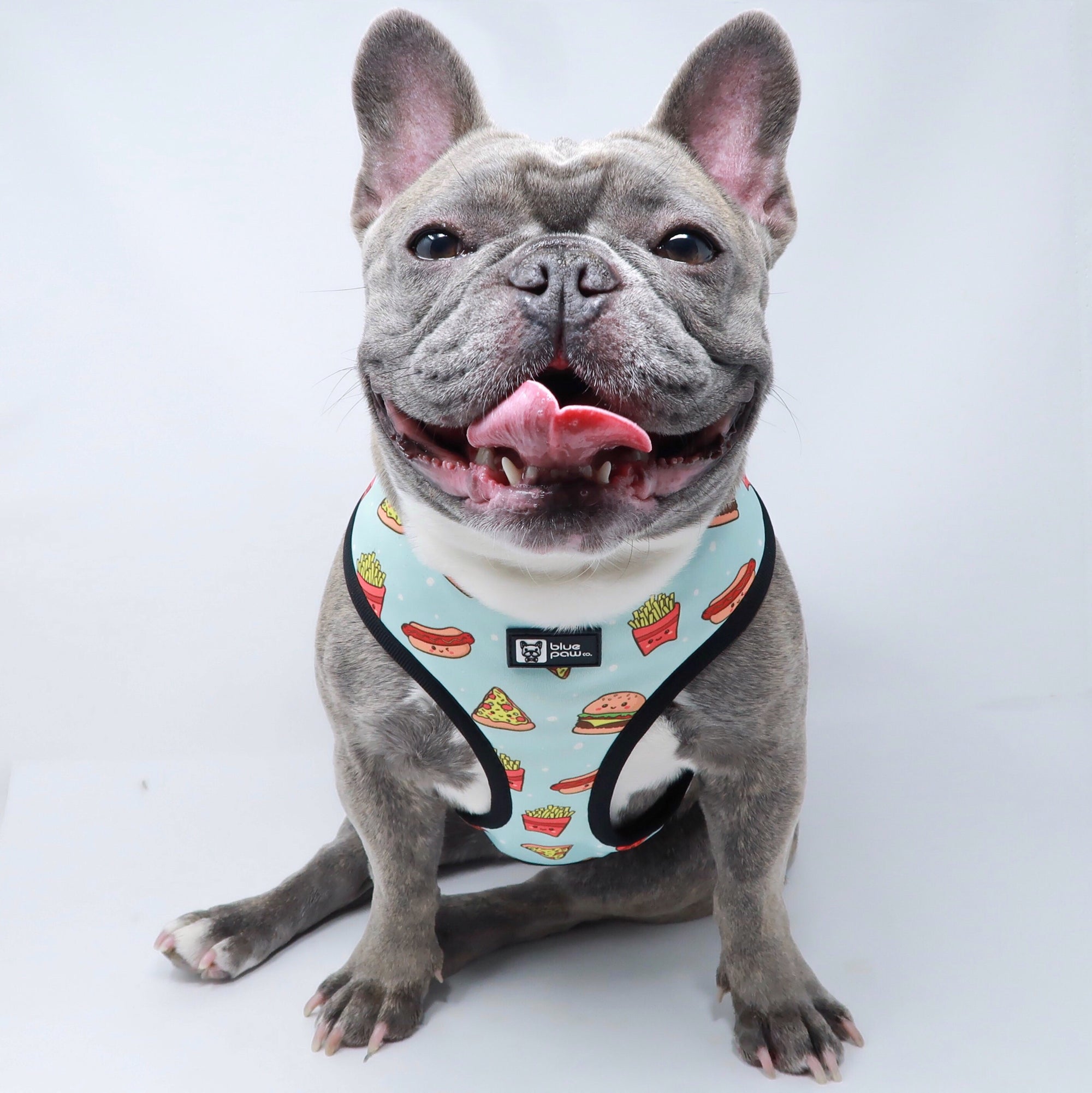 Reversible Dog Harness - Cheat Day (Blue Paw Co. - FINAL SALE)