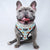 Reversible Dog Harness - Cheat Day (Blue Paw Co. - FINAL SALE)