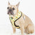 Reversible Dog Harness - Avocado Toast (Blue Paw Co. - FINAL SALE)