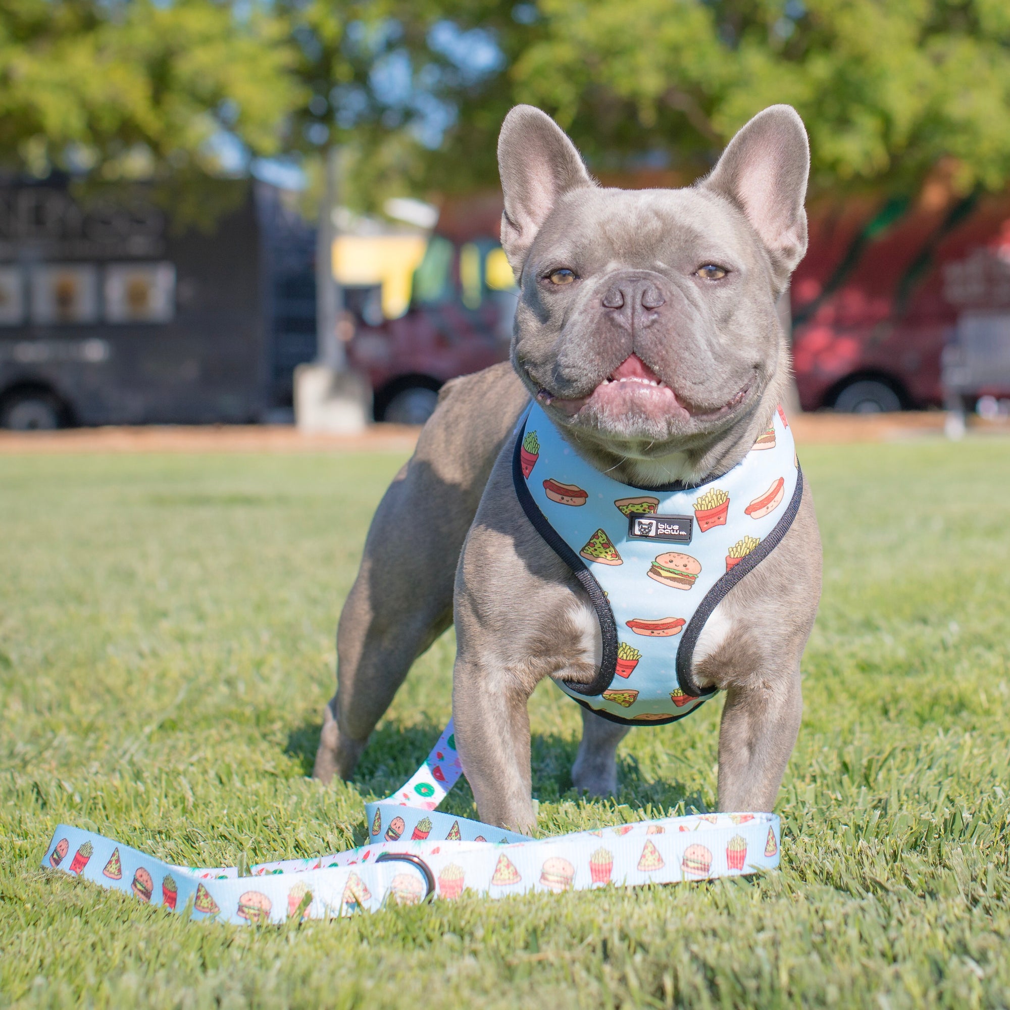 Reversible Dog Harness - Cheat Day (Blue Paw Co. - FINAL SALE)