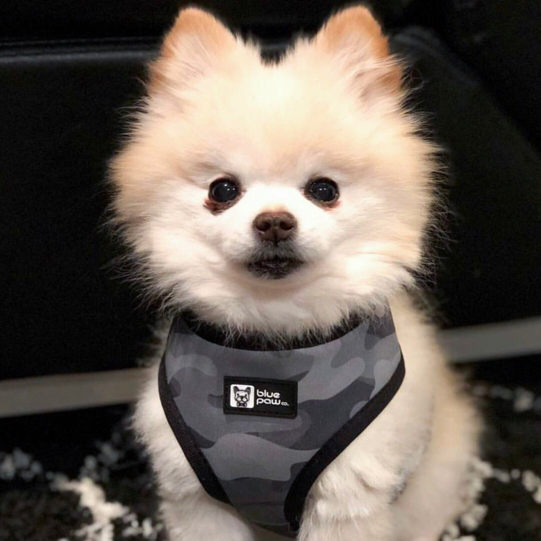 Reversible Dog Harness - Combat Camo (Blue Paw Co. - FINAL SALE)