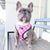 Reversible Dog Harness - Piece Of Cake (Blue Paw Co. - FINAL SALE)