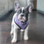 Reversible Dog Harness - Frosty Feet (Blue Paw Co. - FINAL SALE)