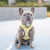Reversible Dog Harness - Avocado Toast (Blue Paw Co. - FINAL SALE)