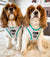 Step-In Dog Harness - Feel The Love