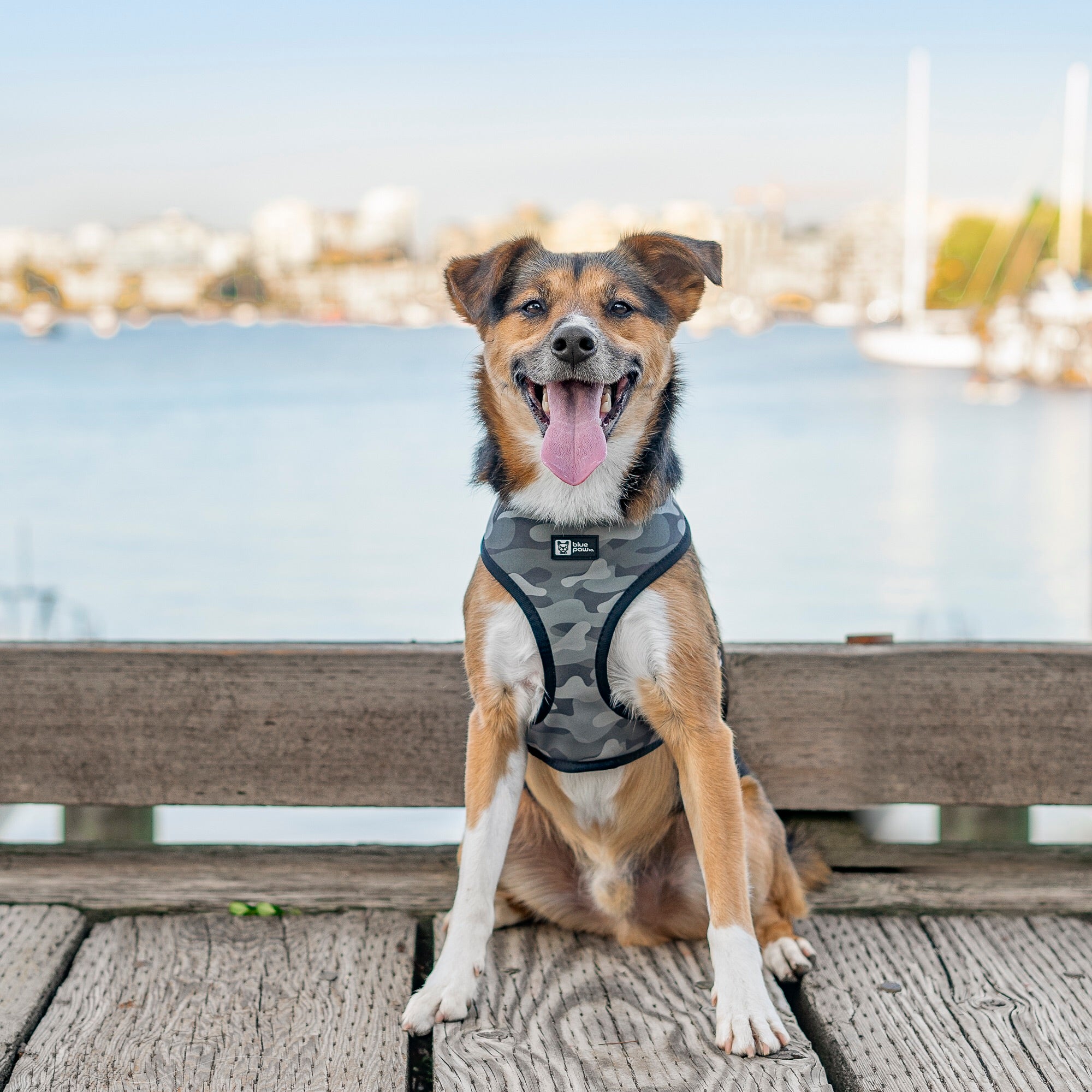 Reversible Dog Harness - Combat Camo (Blue Paw Co. - FINAL SALE)