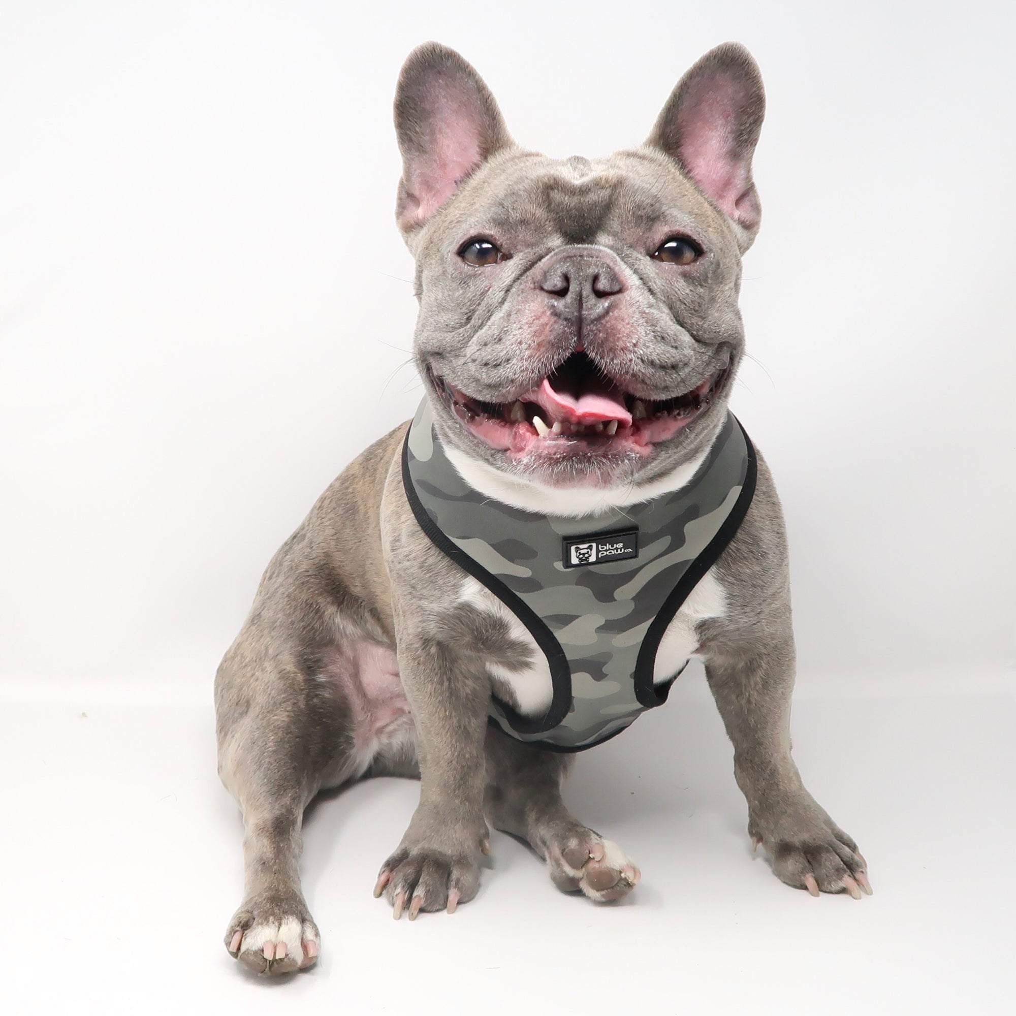 Reversible Dog Harness - Combat Camo (Blue Paw Co. - FINAL SALE)