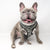 Reversible Dog Harness - Combat Camo (Blue Paw Co. - FINAL SALE)