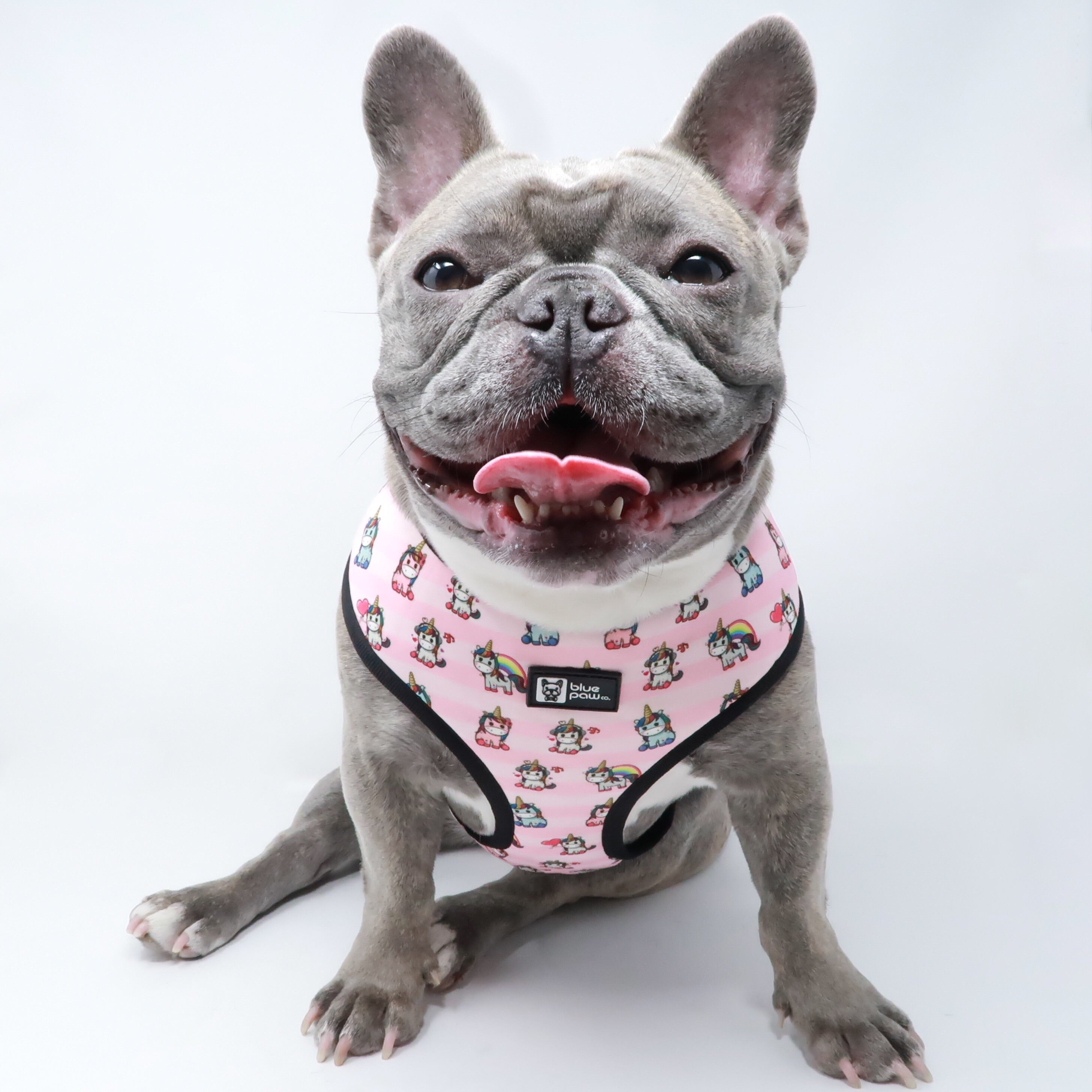 Reversible Dog Harness - Hearts & Horns (Blue Paw Co. - FINAL SALE)