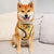 Reversible Dog Harness - Avocado Toast (Blue Paw Co. - FINAL SALE)
