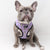 Reversible Dog Harness - Frosty Feet (Blue Paw Co. - FINAL SALE)