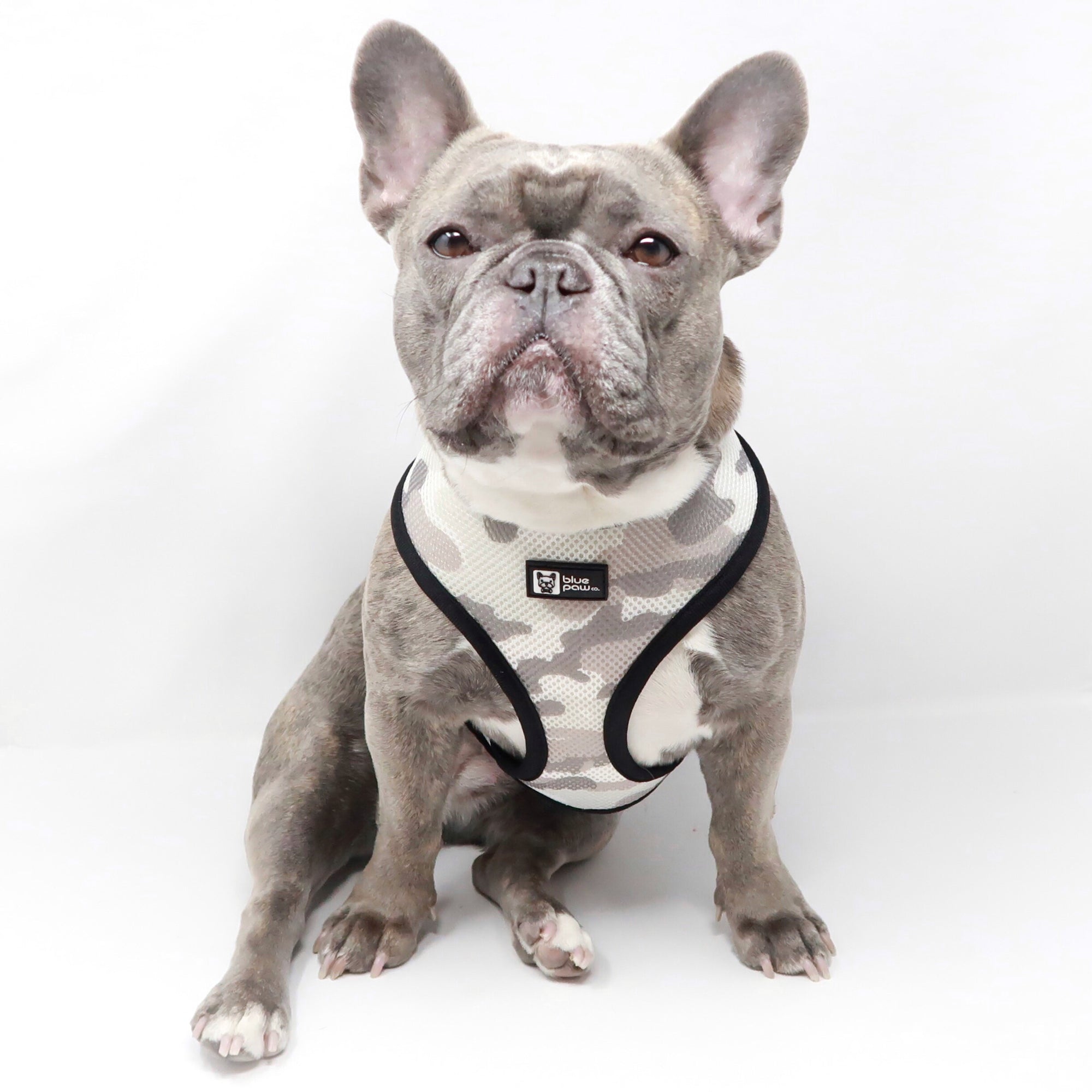 Reversible Dog Harness - Combat Camo (Blue Paw Co. - FINAL SALE)