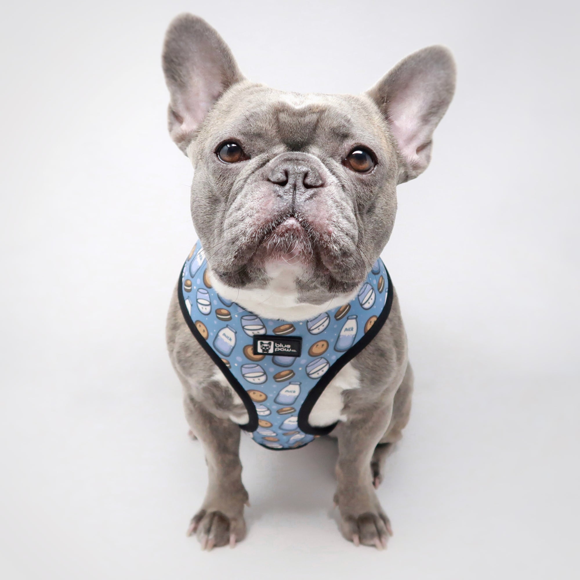 Reversible Dog Harness - Milky Way (Blue Paw Co. - FINAL SALE)