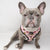 Reversible Dog Harness - Piece Of Cake (Blue Paw Co. - FINAL SALE)