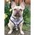 Reversible Dog Harness - Combat Camo (Blue Paw Co. - FINAL SALE)