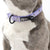 Dog Collar - Frosty Feet (Blue Paw Co. - FINAL SALE)