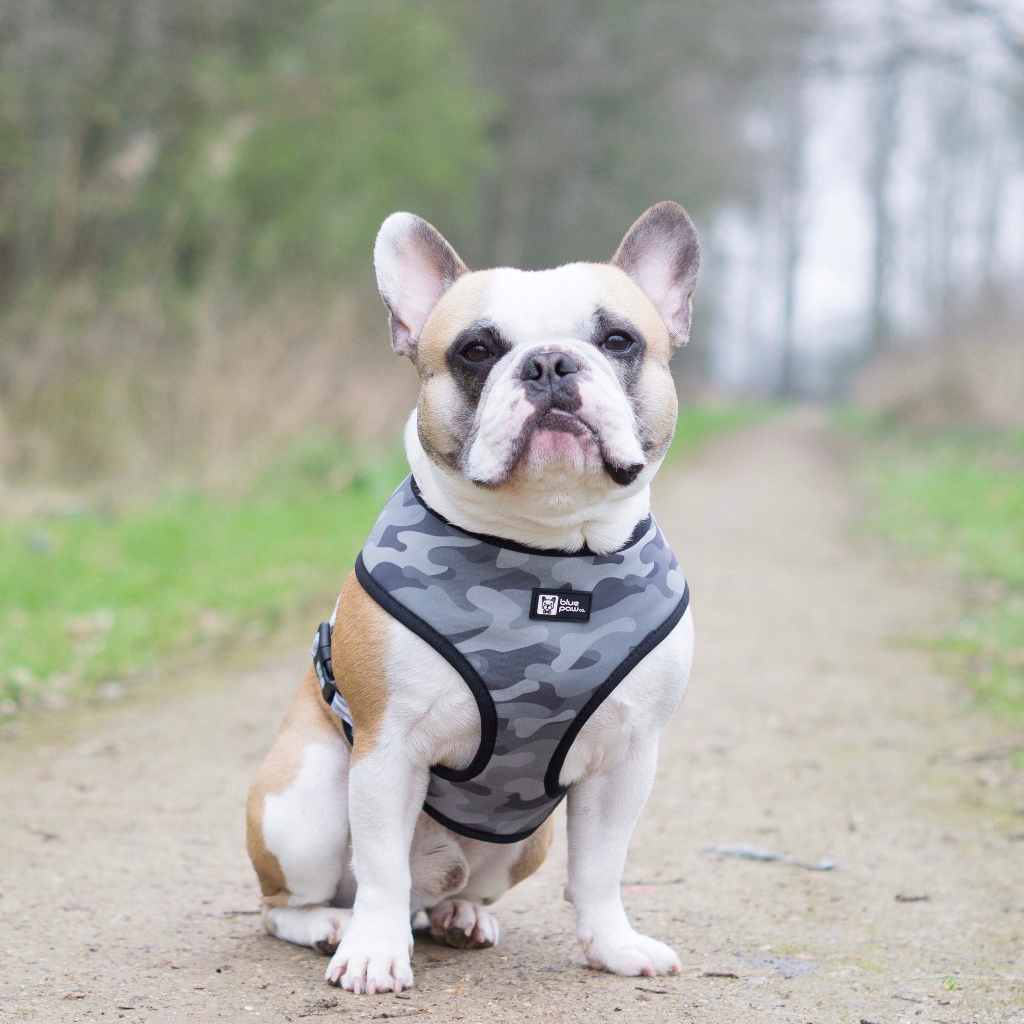 Reversible Dog Harness - Combat Camo (Blue Paw Co. - FINAL SALE)