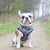 Reversible Dog Harness - Combat Camo (Blue Paw Co. - FINAL SALE)