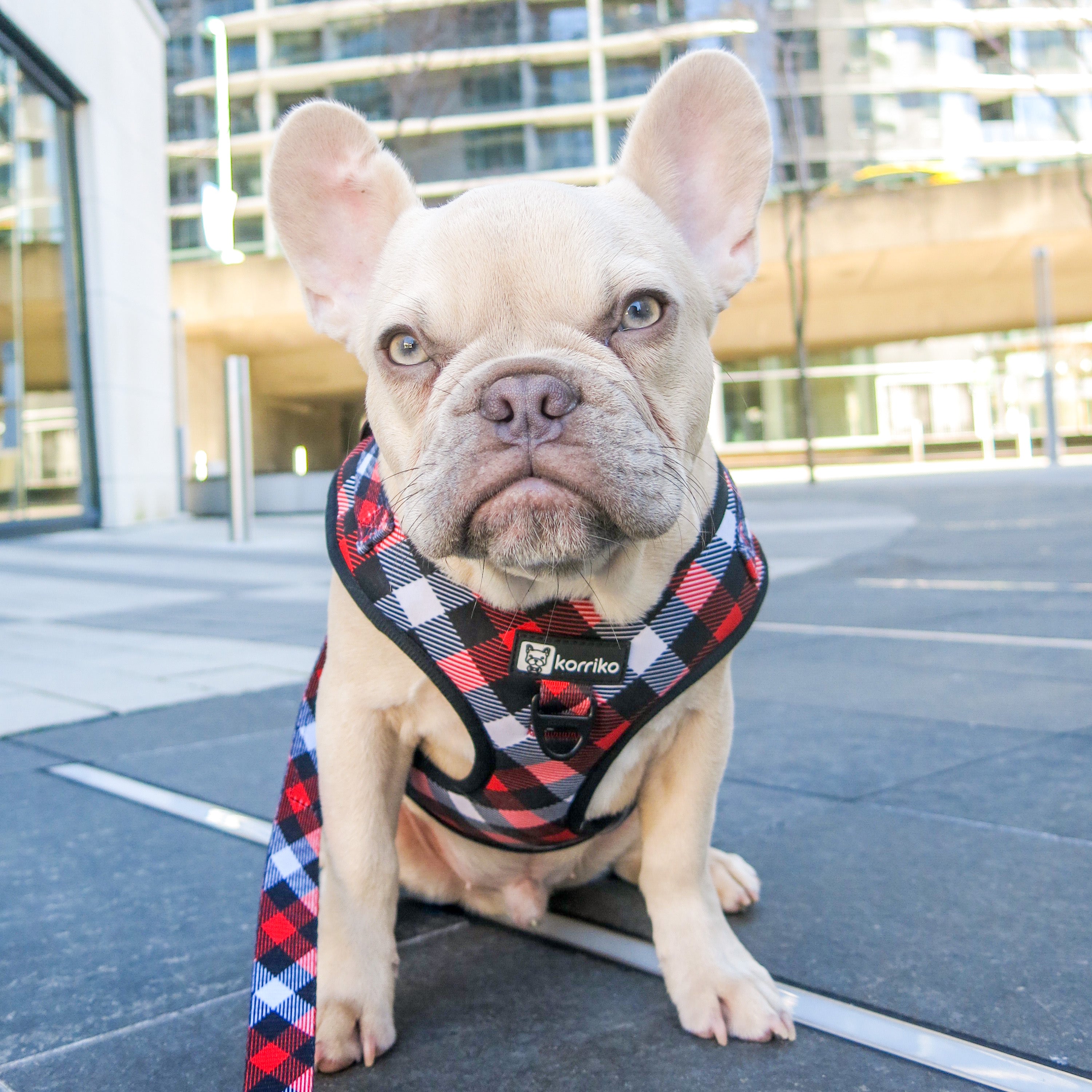 Adjustable Dog Harness - Red Plaid (SECONDS - FINAL SALE)