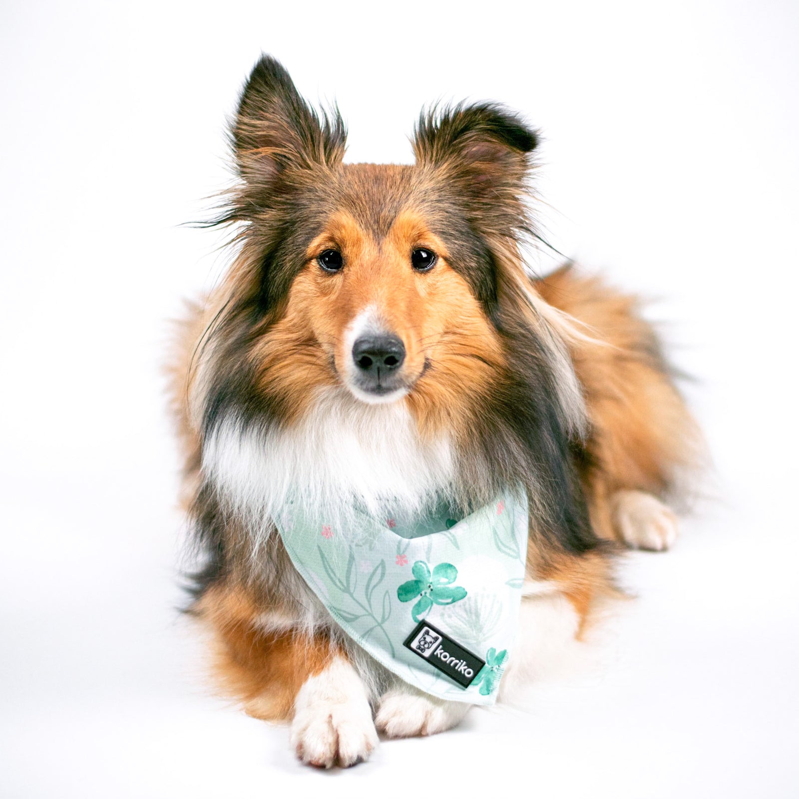 Cooling Dog Bandana - Mint Sakura (Final Sale)