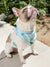 Cooling Dog Bandana - Mint Sakura (Final Sale)