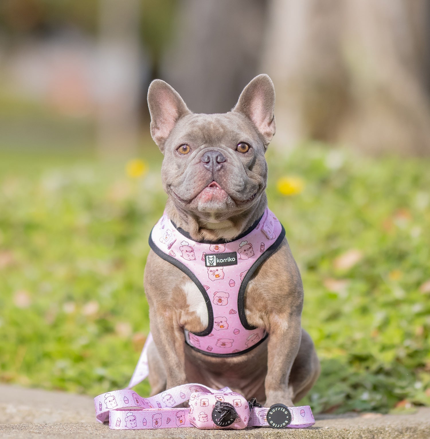 Adjustable Dog Harness - Piggin' Out *SPECIAL SIZING*