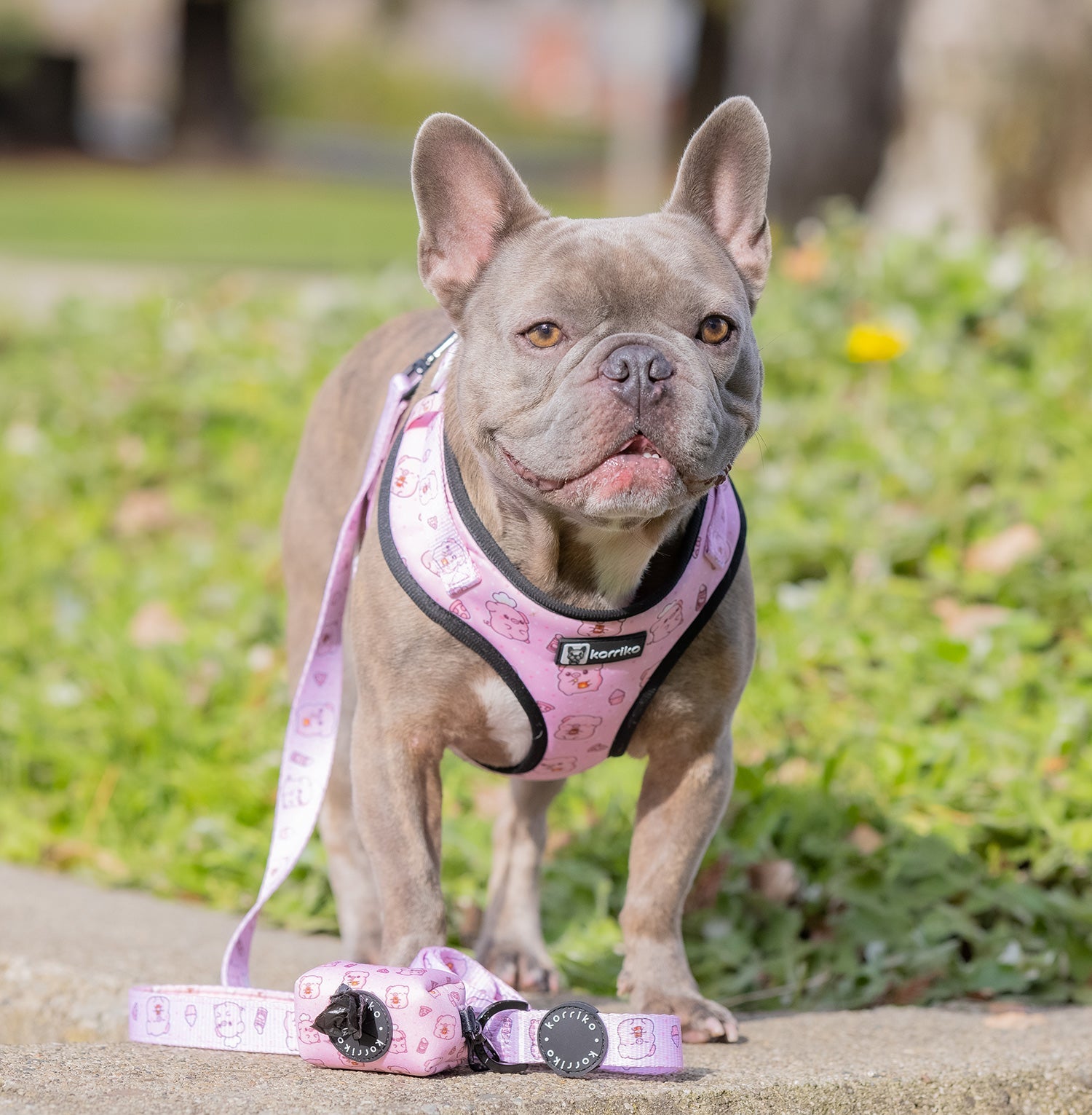 Adjustable Dog Harness - Piggin' Out *SPECIAL SIZING*