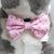 Dog Bow Tie - Piggin' Out (Blue Paw Co. - FINAL SALE)